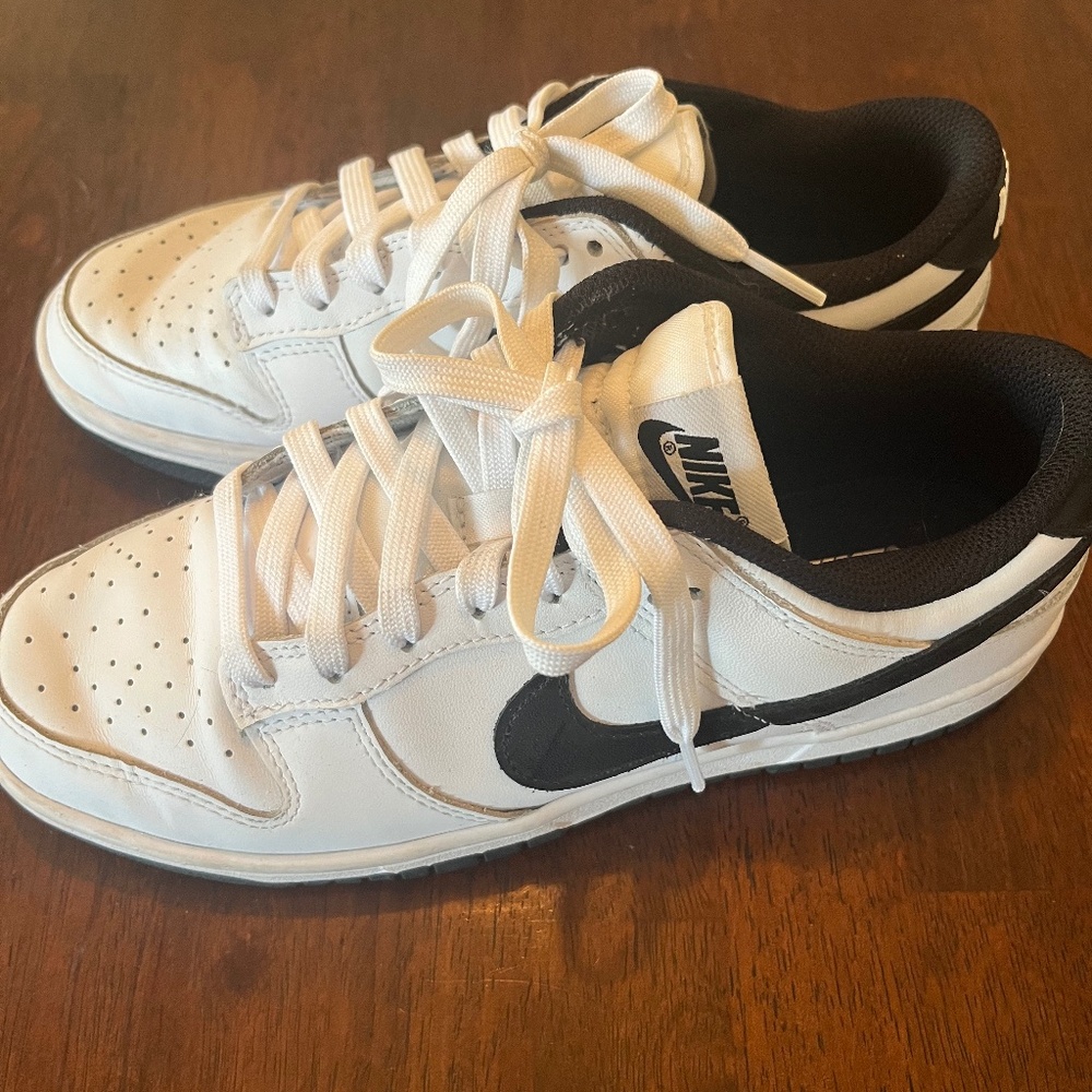 Women’s Nike SB Dunk low